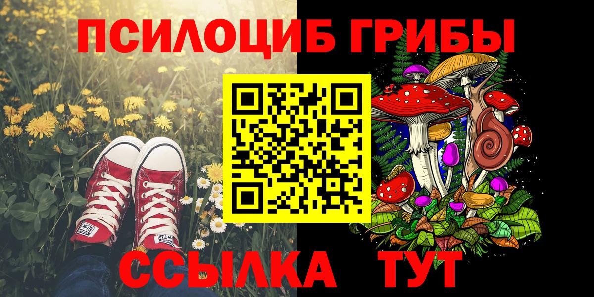Кисловодск  Псилоцибиновые грибы прущие грибы  Вход с VPN 